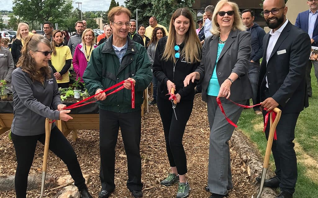 Meadowvale Corporate Centre launches its very first Community Harvest Garden