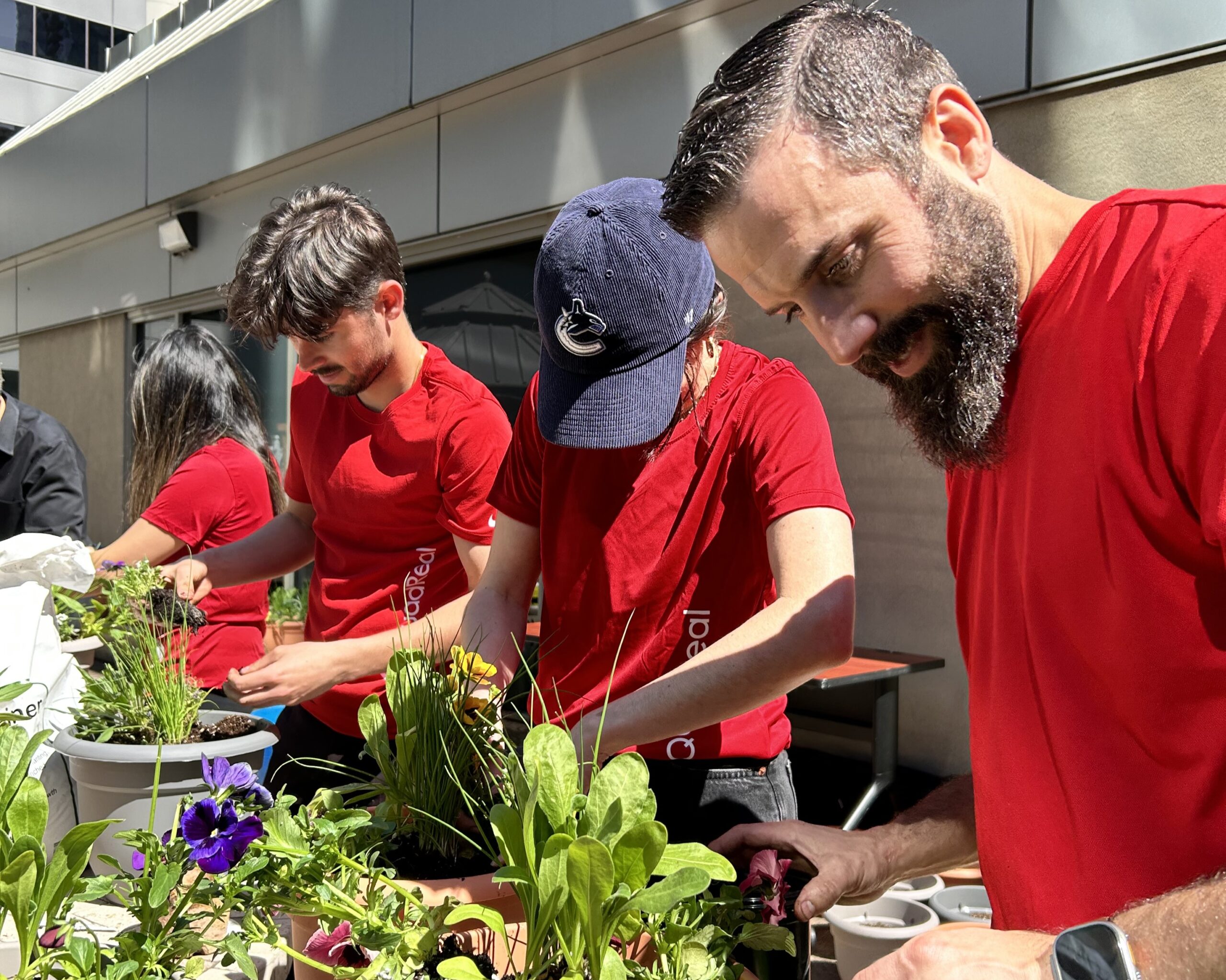 QuadReal employees gardening at YWCA Vancouver