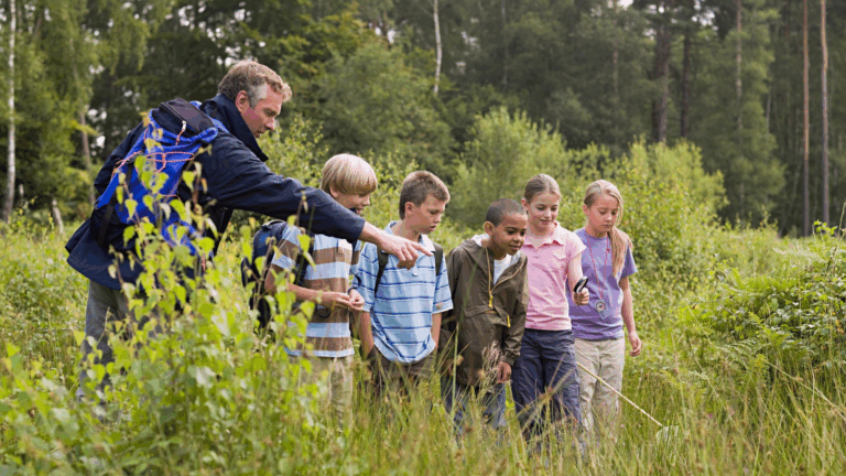 A group of children and an adult are exploring a grassy area in a forest. The adult is pointing at something in the grass while the children observe closely.